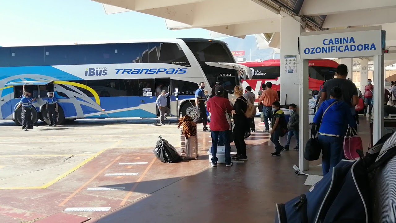 Empresas de Transporte en Ciudad Victoria Inician Descuentos para Estudiantes y Maestros