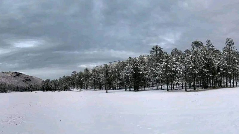 Miquihuana, Tamaulipas experimenta un paisaje blanco tras caída de nieve