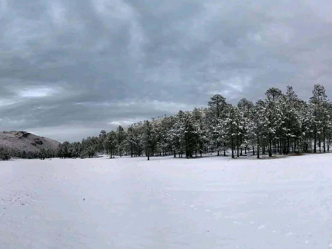 Miquihuana, Tamaulipas experimenta un paisaje blanco tras caída de nieve