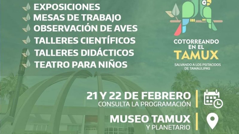 Vive una experiencia con alas  “Cotorreando en el museo Tamux”.