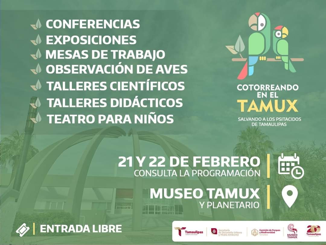 Vive una experiencia con alas “Cotorreando en el museo Tamux”.
