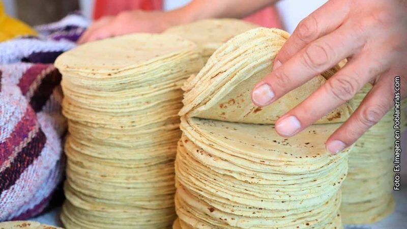El costo de la tortilla experimentará un incremento únicamente en la región norte de Tamaulipas