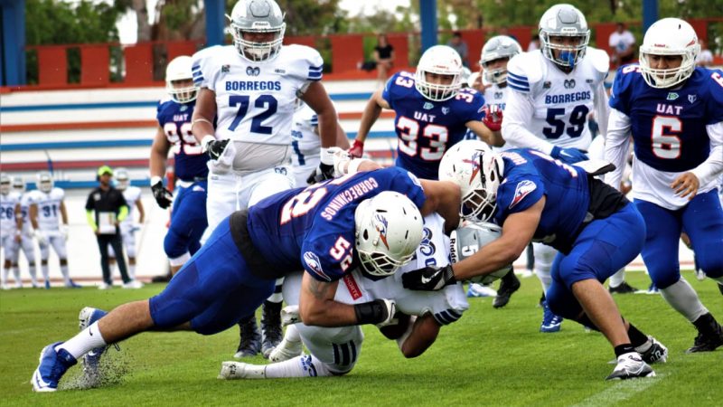 Correcaminos UAT está re regreso en Liga Mayor de ONEFA