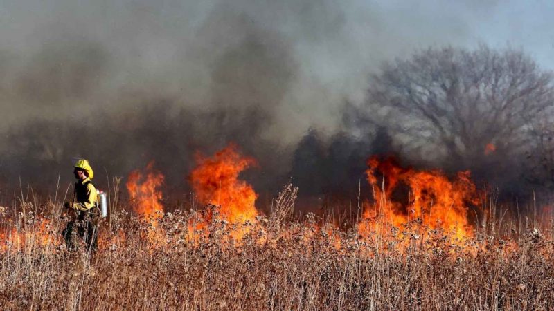 Incendios forestales arrasan casi 9 mil hectáreas en México: 126 activos en 19 estados