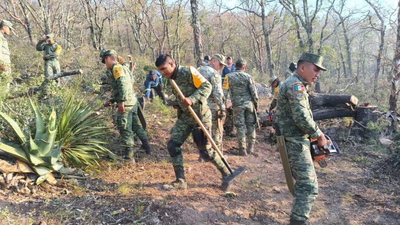 Personal militar y Guardia Nacional despliegan Plan DN-III-E ante incendio forestal en Miquihuana, Tamaulipas