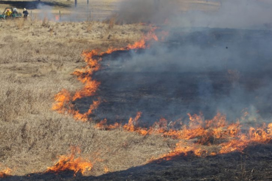 «Aumenta la Preocupación sobre Incendios de Pastizales en la capital