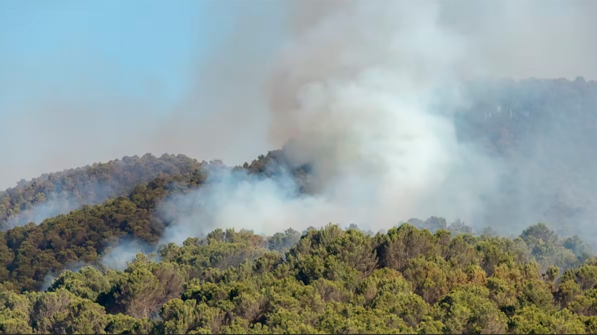 «Nuevo León, Coahuila y Tamaulipas coordinarán esfuerzos contra incendios en sus sierras compartidas.»