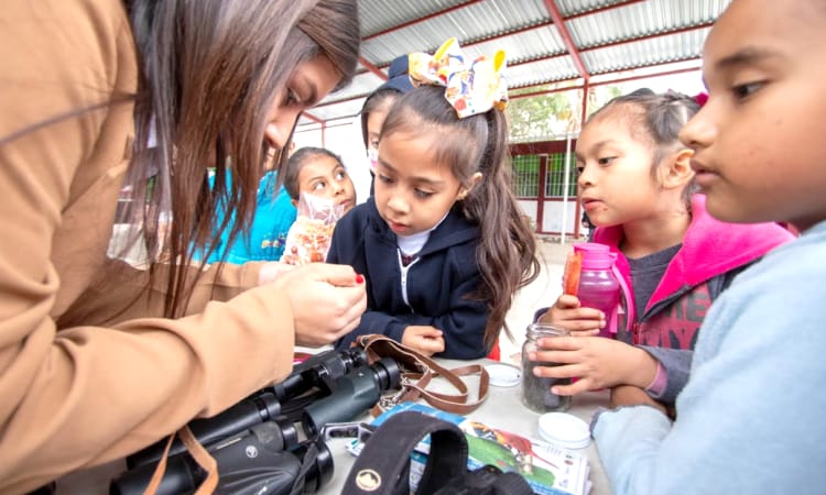 Fortalecimiento Académico: Inversión de 76 millones de pesos en Ingenierías para Instituciones Educativas en Tamaulipas