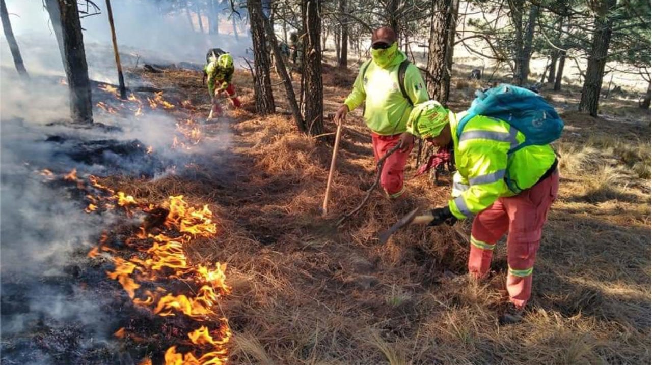 180 hectáreas afectadas por incendios en la Sierra Madre de Tamaulipas
