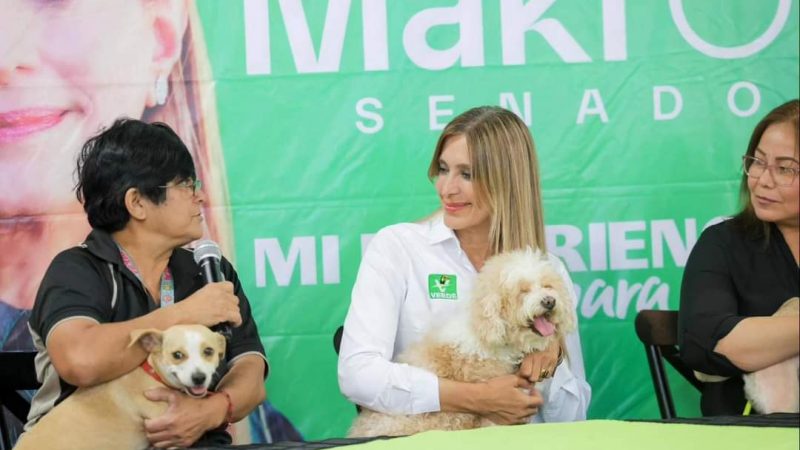 Proteccion por los Animales: Maki y la Sociedad Civil en Defensa de sus Derechos»