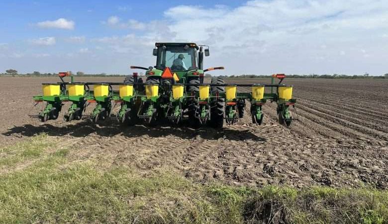 Tamaulipas podría perder la siembra en aproximadamente 100 mil hectáreas debido a riesgos actuales