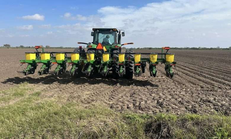 Tamaulipas podría perder la siembra en aproximadamente 100 mil hectáreas debido a riesgos actuales