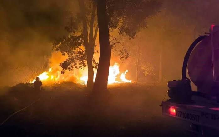 Incendios forestales azotan México: 18 estados afectados y más de 3 mil hectáreas dañadas