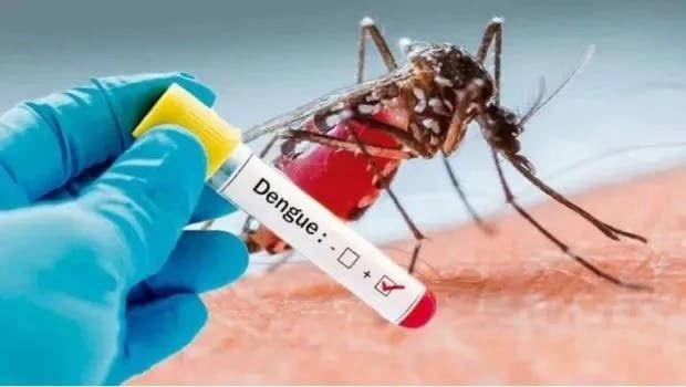 América se enfrenta a la peor temporada de dengue en su historia, advierte la OPS