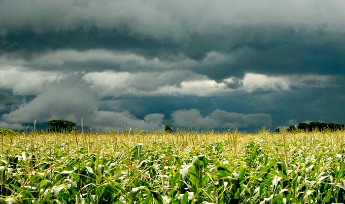 Bombardeo de nubes intensifica las lluvias en Tamaulipas y beneficia cultivos