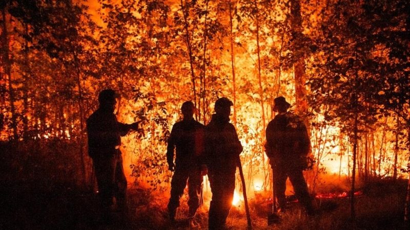Aumenta la preocupación por los incendios forestales en México