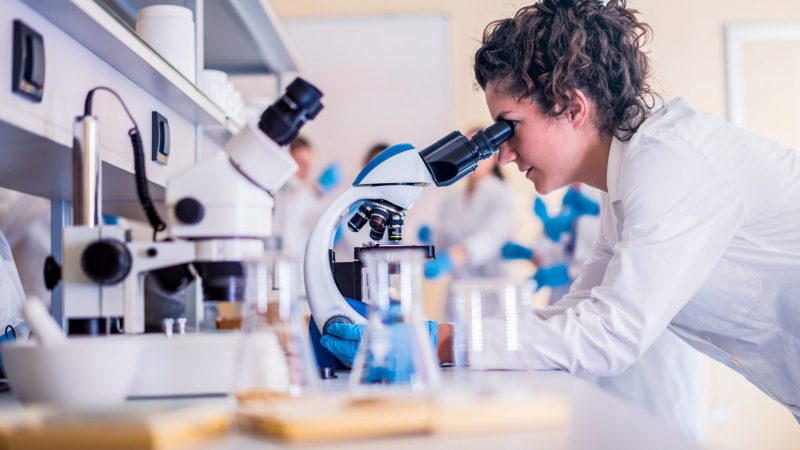 «Desafíos para mujeres en ciencia en Tamaulipas: baja matrícula en carreras tecnológicas