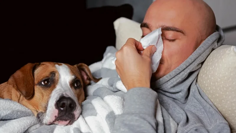 Los humanos contagiamos más virus a los animales que ellos a nosotros, revela estudio