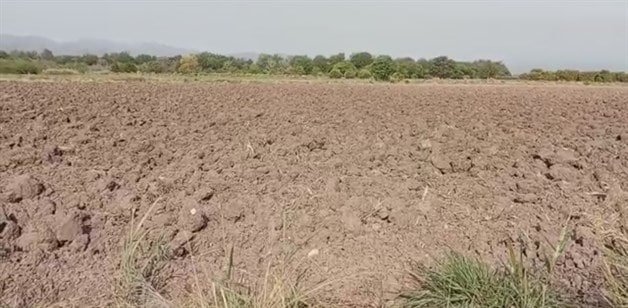 Sequía azota al campo de Tamaulipas: el tercero más afectado en México, según el Inegi