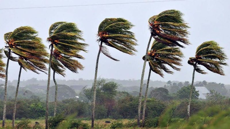 Pronóstico del tiempo para Tamaulipas 28 MARZO 2024