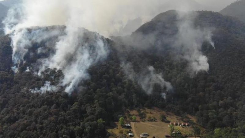 Seis incendios forestales arrasan 700 hectáreas en Tamaulipas: Alerta en la temporada alta de fuegos