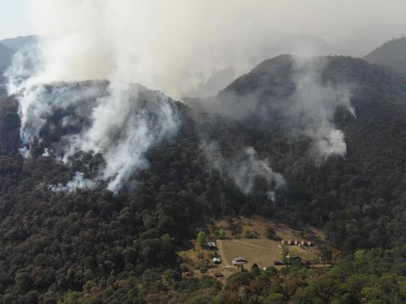 Seis incendios forestales arrasan 700 hectáreas en Tamaulipas: Alerta en la temporada alta de fuegos