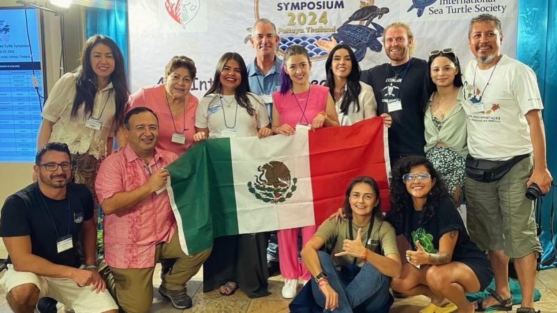 Investigadora de la UAT presenta en Tailandia estudio genético de las tortugas carey