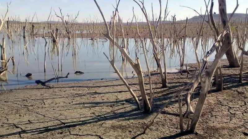 Sequía Afecta a Casi 80% de Municipios en Tamaulipas