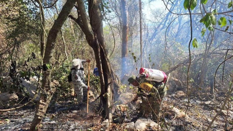 Dos incendios activos arrasan con 136 hectáreas en Tamaulipas; autoridades movilizan recursos para contener el fuego
