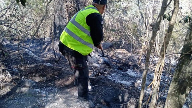 Incendio forestal en El Mante controlado al 95% gracias al Plan Tamaulipas