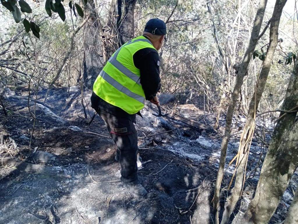 Incendio forestal en El Mante controlado al 95% gracias al Plan Tamaulipas