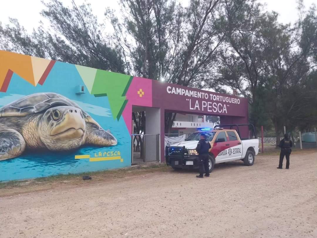 Refuerzan vigilancia en Campamento Tortuguero de La Pesca para proteger especies marinas