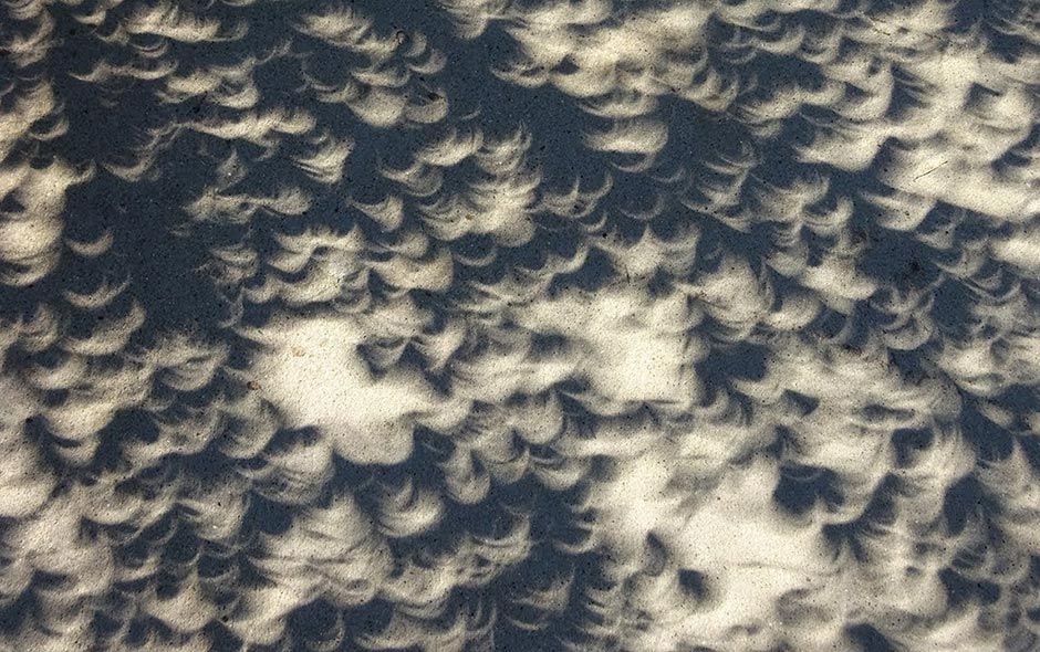 Fascinante fenómeno durante el eclipse solar: sombras con forma de luna