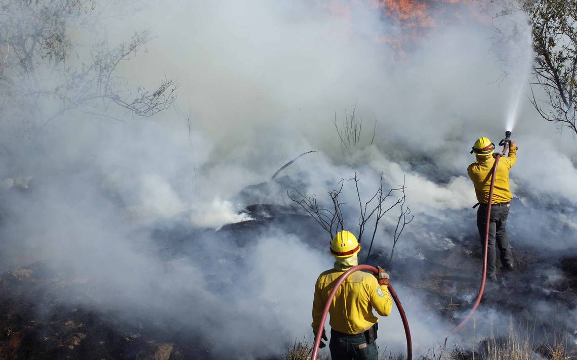 Crisis nacional: 84 incendios forestales activos azotan 20 estados mexicanos