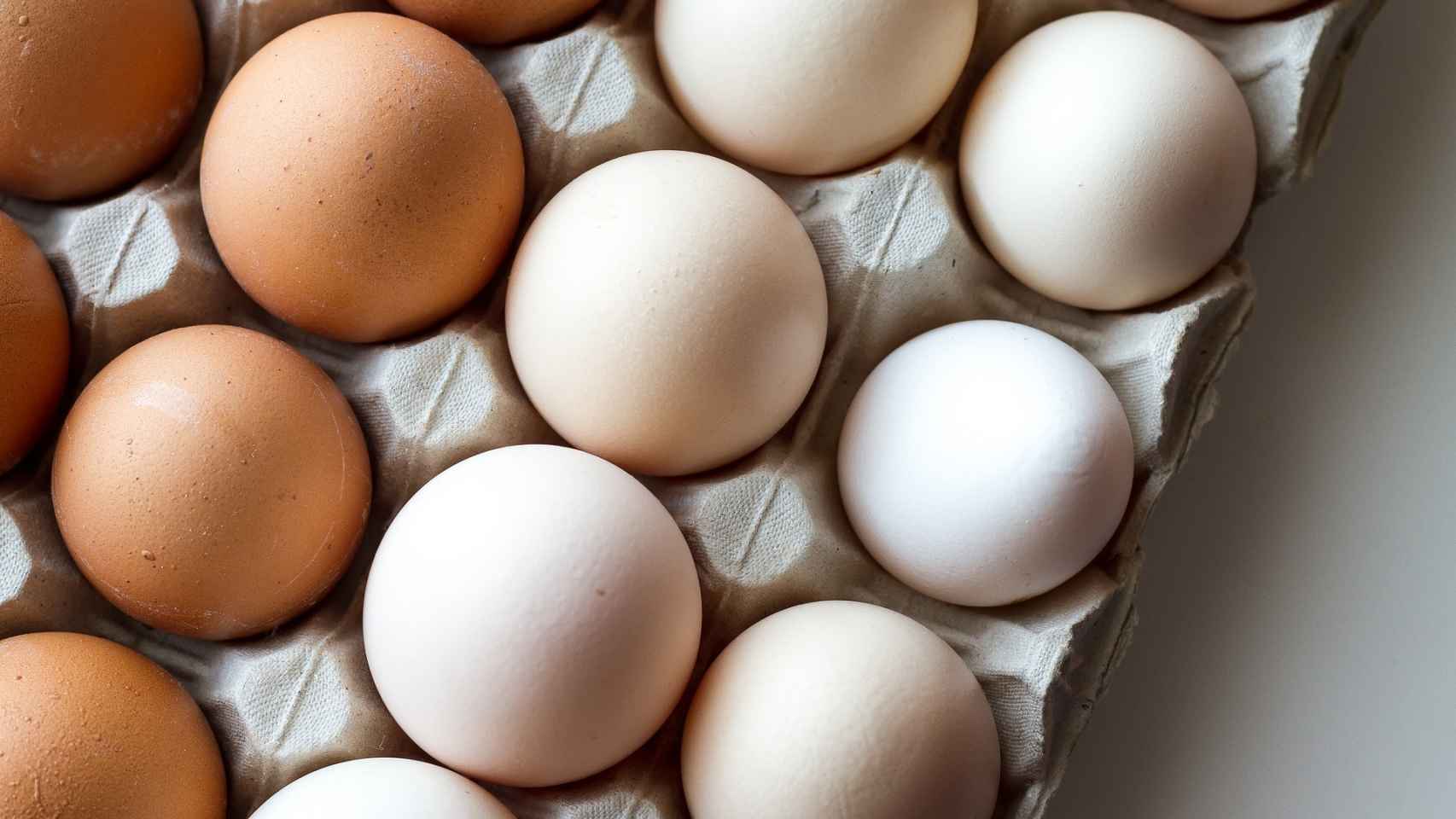 El precio del huevo alcanza niveles históricos en Tamaulipas