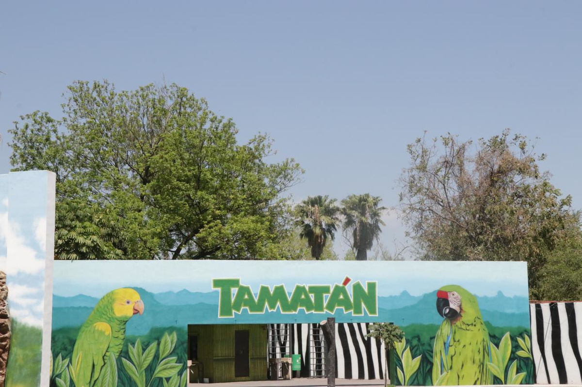 ¡Celebración del Día del Niño en Tamaulipas! Entrada Gratis a Parques y Zoológicos para los Pequeños