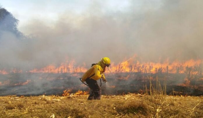 Autoridades de Tamaulipas refuerzan medidas para prevenir incendios forestales