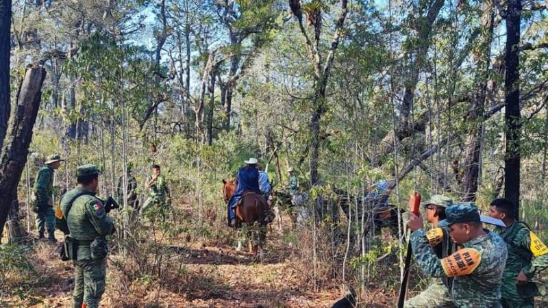 Ejército Mexicano y Guardia Nacional se unen para combatir incendios en Tamaulipas