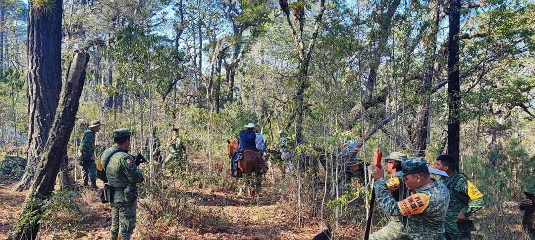 Ejército Mexicano y Guardia Nacional se unen para combatir incendios en Tamaulipas