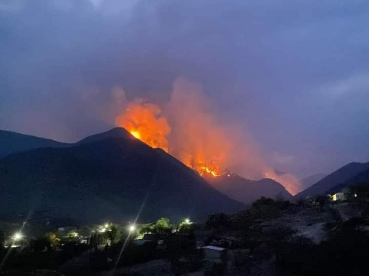 Tres incendios forestales activos en Tamaulipas; esfuerzos conjuntos para contener el fuego