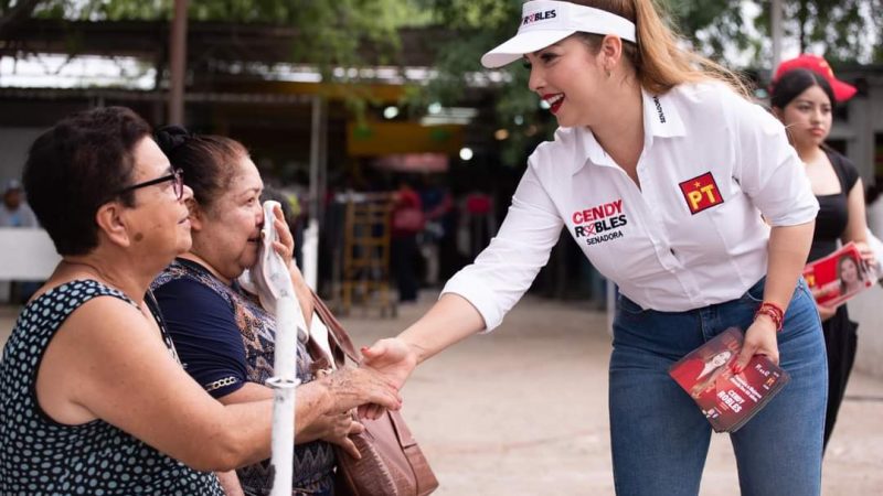 Cendy Robles del Partido del Trabajo promete legislar por una educación gratuita y accesible en Tamaulipas