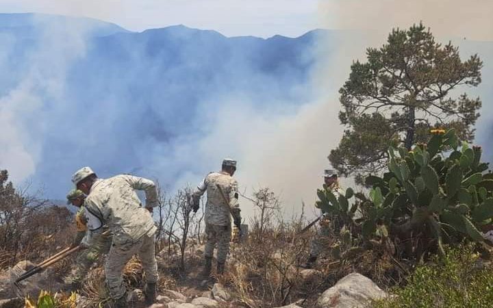 Protección Civil: Avances en el control del incendio forestal en Sierra de Tamaulipas