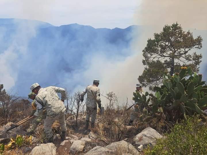 Protección Civil: Avances en el control del incendio forestal en Sierra de Tamaulipas