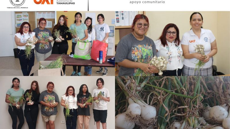 Implementa la UAT en Río Bravo un huerto escolar