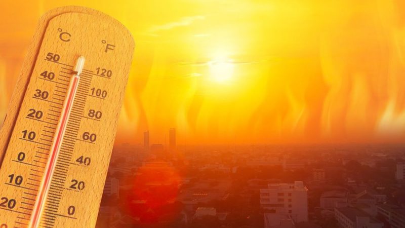 Alerta en Tamaulipas por ola de calor extremo: ¡hasta 48 grados!
