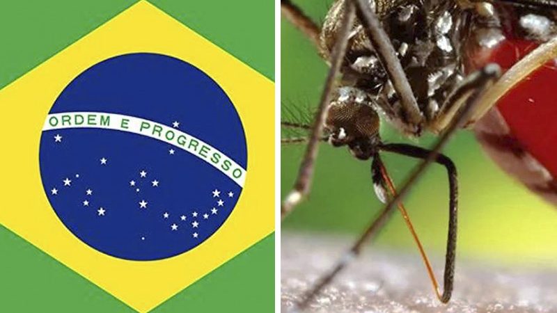Brasil supera los cinco millones de casos de dengue en 2024