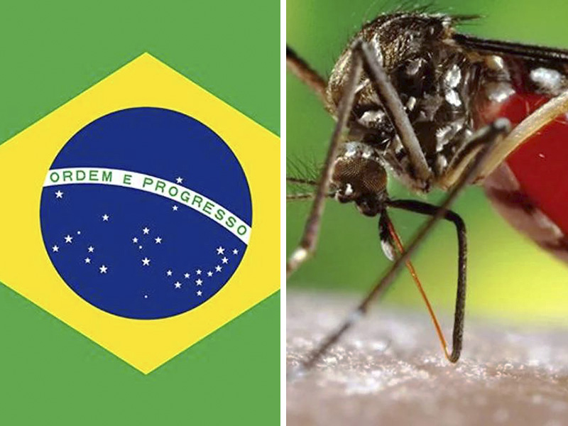 Brasil supera los cinco millones de casos de dengue en 2024