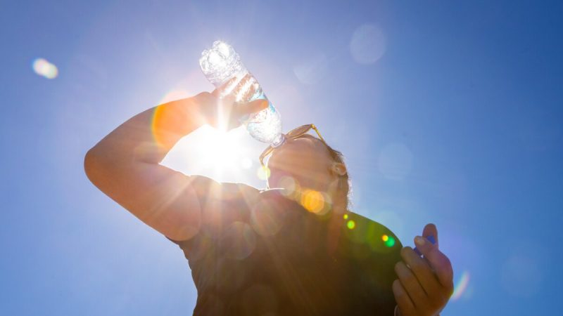 Pronóstico del tiempo para Tamaulipas 20 Mayo 2024