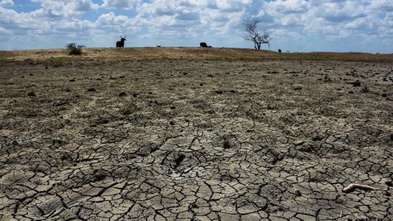 Tamaulipas en Crisis: Municipios en Semáforo Rojo por Escasez de Agua