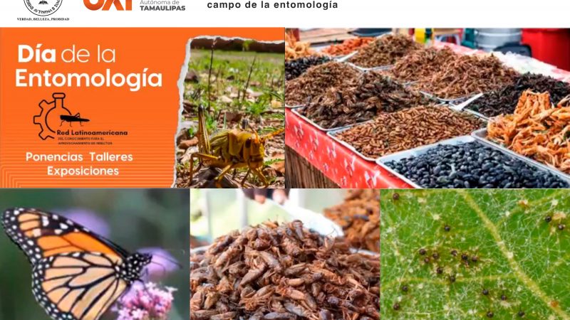 La UAT difunde su investigación y estudios en el campo de la entomología